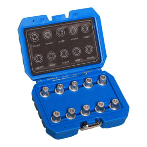 MAC AFRIC 10 PCE BMW Wheel Lock Screw Socket Set (#30/13T - #40/23PT)