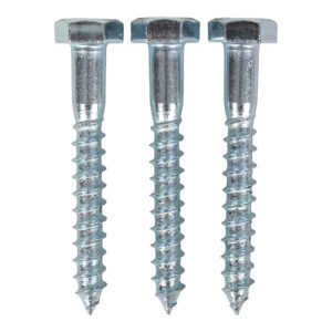 Coach Screw M10 X 75 MM